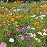 Ferry-Morse Butterfly Bulk Wildflower Seeds, 210,000+, 1 lb