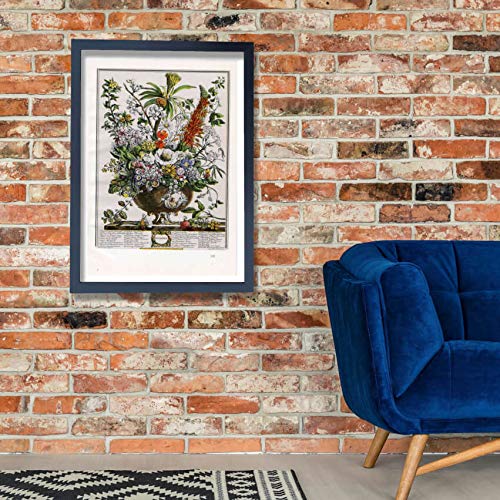 Impression d'art encadrée Spiffing Prints Robert Furber fleurs de décembre tableau mat medium
