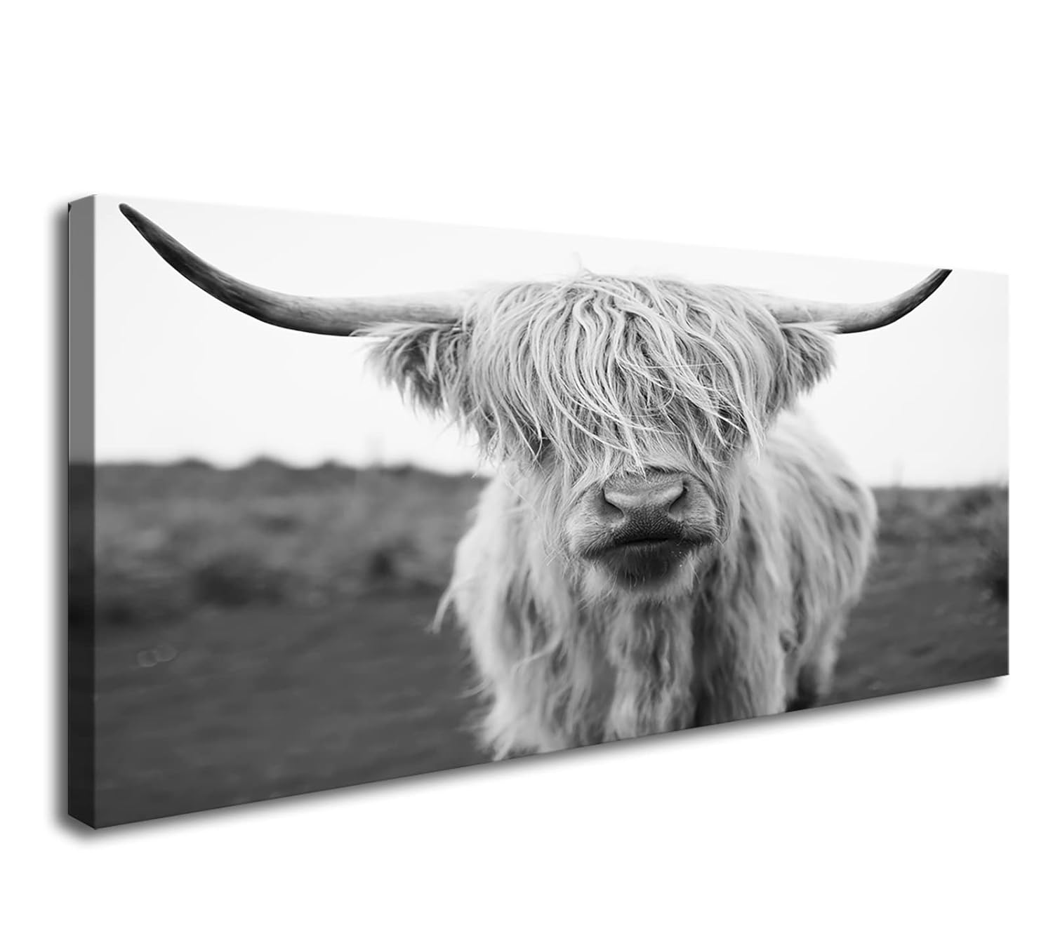 XXMWallArt FC3698 Highland Cow Canvas Art - Black and White Animal Wall Art for Living Room Bedroom Office