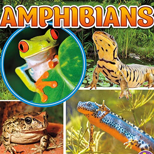 Amphibians by Emma Bernay, Emma Carlson Berne episode artwork