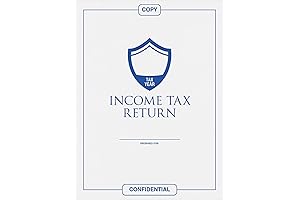 LUXPaper Open End Envelopes: Indispensable Tax Folders for Tax Preparers