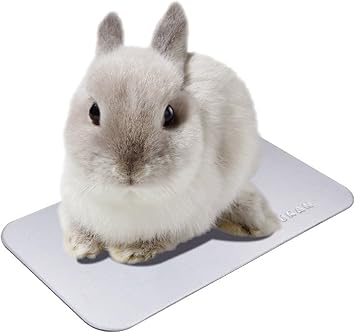 Amazon マルカン うさちゃんのひんやりクールアルミプレート うさぎ用 Rh 5 マルカン 飼育ケージ内装 通販