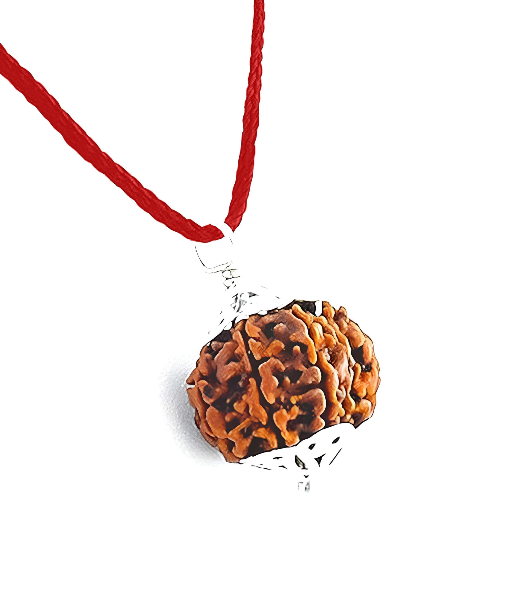 Original 5 Mukhi Rudraksha Pendant Lab Certified Nepali Five Mukhi Rudraksha Pendant with Red Thread for Men and Women-image-40