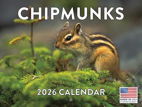 Vista 67 de Calendario alpaca 2026, calendario mensual de pared de 12 meses Hecho en Estados Unidos. Red Pandas