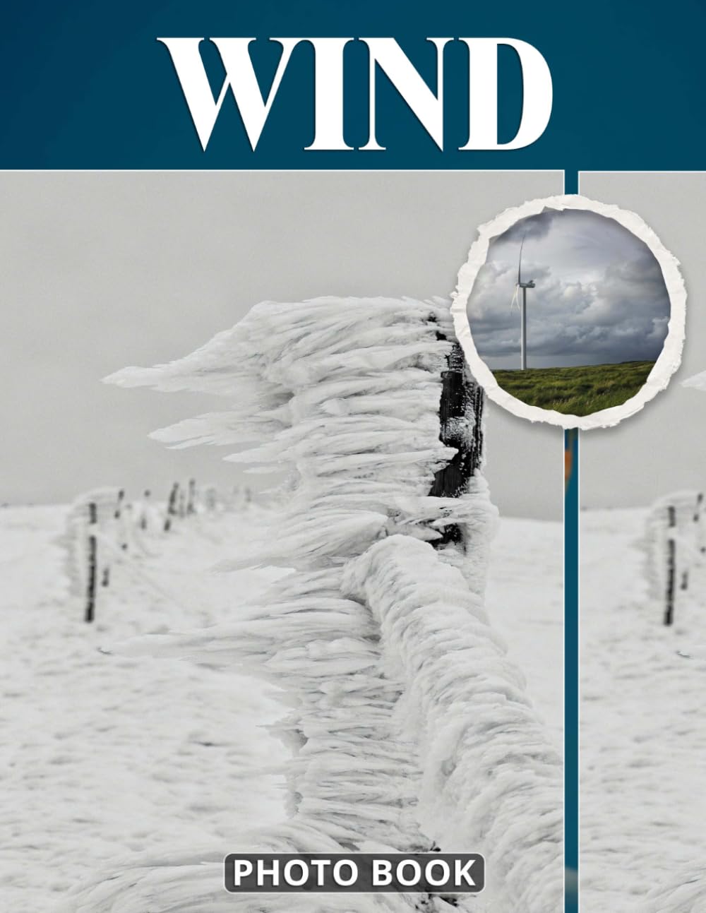 Wind Photo Book: Breezy Weather Photography Capturing Movement Blowing Leaves Windy Landscapes And Fresh Outdoor Energy In Natural Environment Pictures
