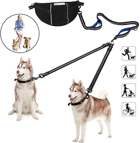 double dog leash