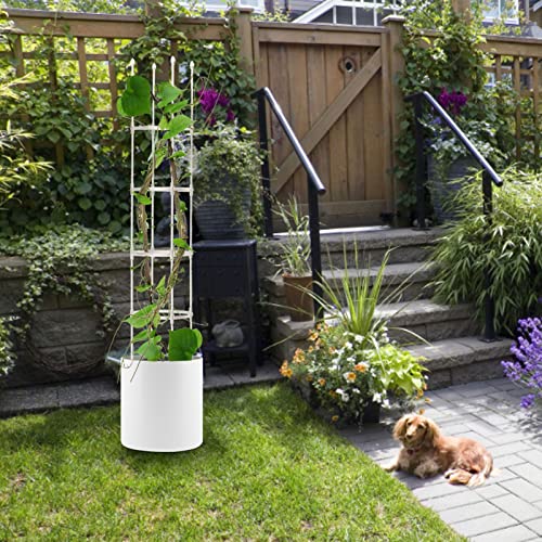 gormyel Bloemenstandaard voor plantenbakken; obliek metalen vlechtwerk met PE en PP-coating voor klimplanten en planten… - Image 3