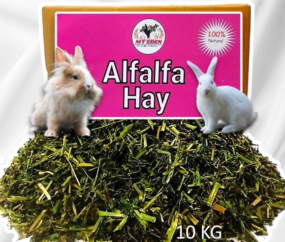 My Eden Natural Alfalfa Hay (10 KG) | Food for Rabbits, Guinea Pig, Hamsters and Other Small Animals | High Fiber Food-image-45