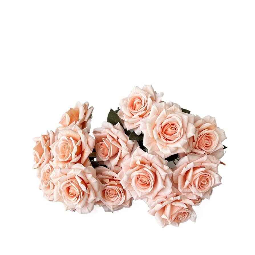 バラ額縁セット OA・ハガキ・写真サイズシリーズ│製品情報│Doshisha Co., Ltd.