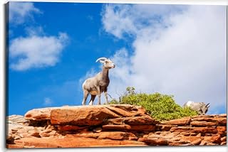 Desert Bighorn Sheep against Blue Sky National Park Canvas Wall Art Decor Paintings Pictures for Bedroom Wall Decor Above Bed Living Room Wall Decoration Bathroom Office Artwork