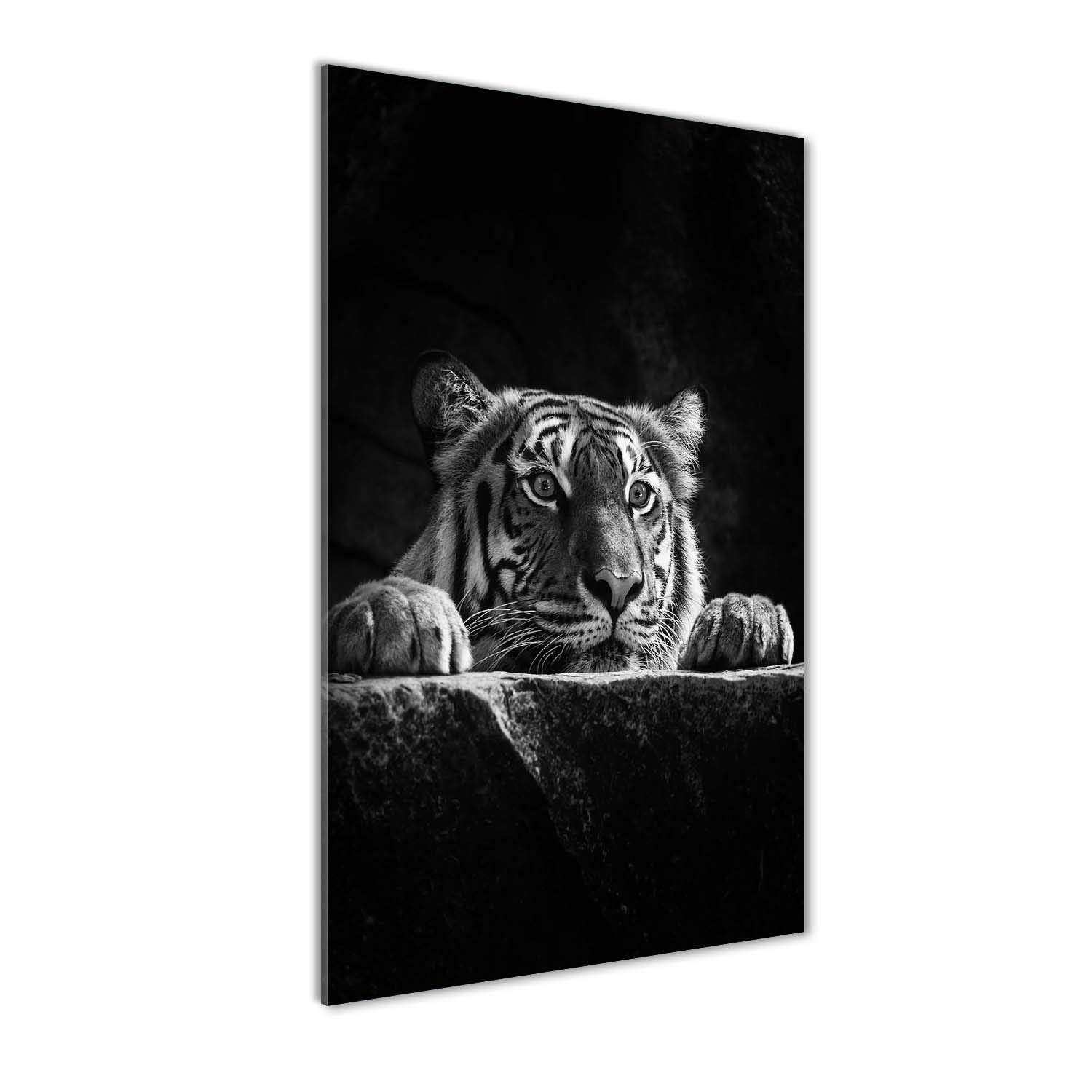 Tableau tigre noir et blanc en plexiglas 60x120 cm par Tulup