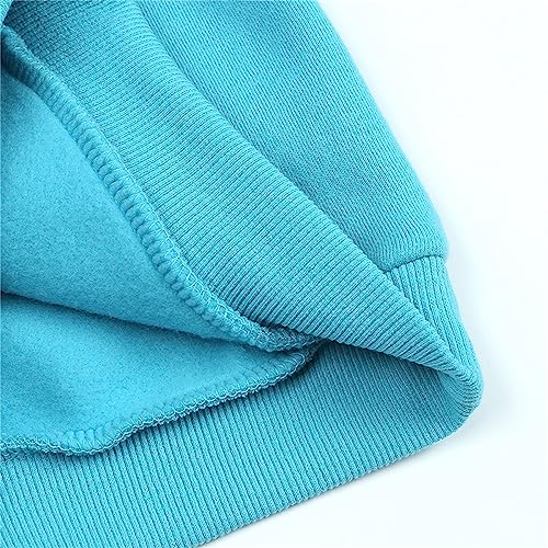 Boys Girls Crewneck Sweatshirts Toddler Baby Sweatshirt Solid Cotton Soft Long Sleeve Active (C, 14-15 Years)4