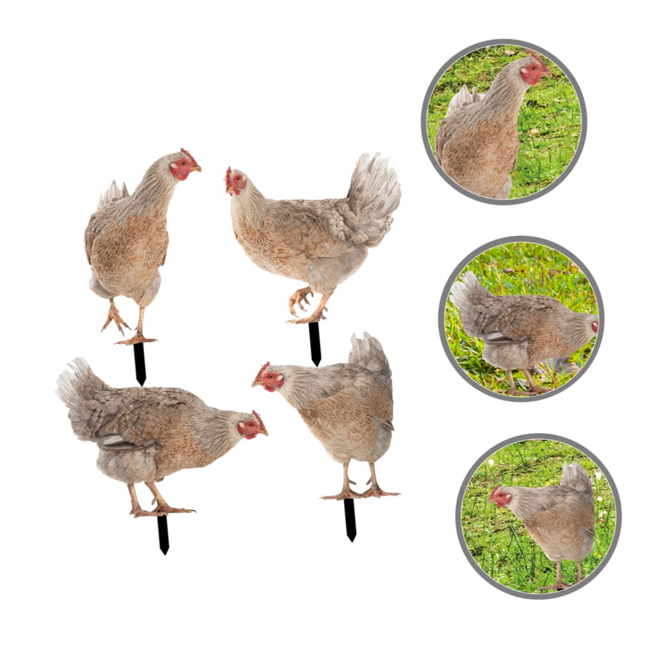Gartenstecker Huhn aus Acryl, für Garten und Rasen