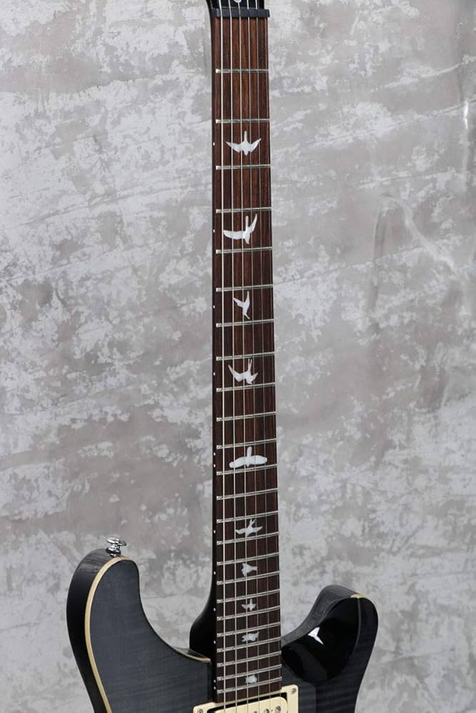 pl様　ポールリードスミス Amazon | PRS SE Custom24 Gray Black S/N:R23308 ポールリード
