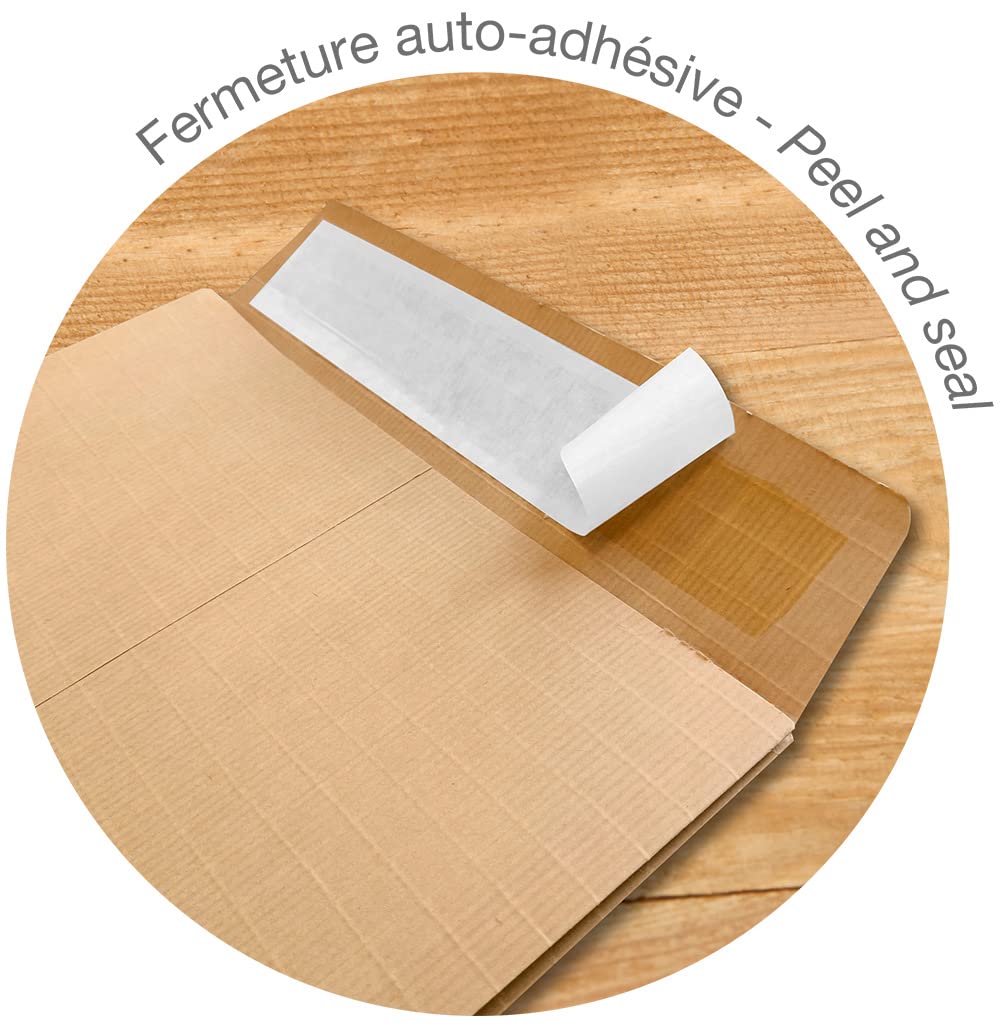 Clairefontaine 13058C - Karton mit 250 Versandtaschen Kraftbraun E4-280x400 mm, mit Rillen, dehnbar mit Falten 30 mm, selbstklebend, 130g, sehr strapazierfähig, 1 Karton