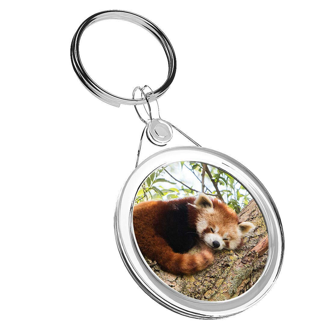 1 x Beautiful Lesser Red Panda - Keyring IR02 Dad Kids Birthday 14217