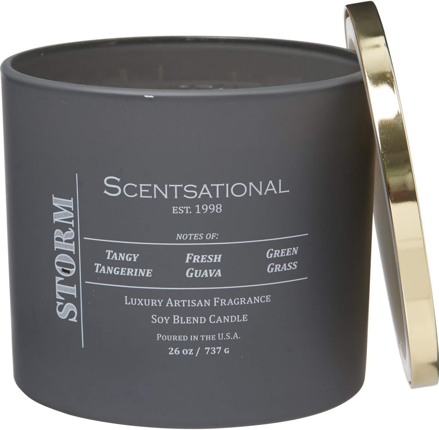 Scentsational Est. 1998 Notes of Tangy Tangerine, Fresh Guava, Green Organic Grass Storm Apothecary Organic Soy Candle – Silver Metal Lid - Extra Large - 3-Wick, 26 Oz.