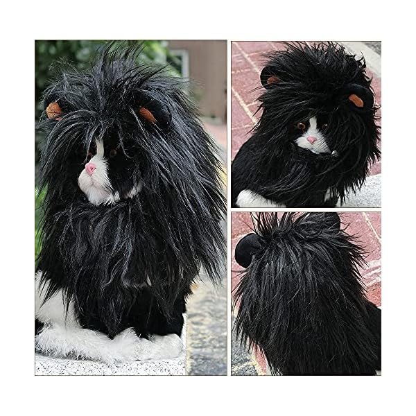 Jobede pet lion mane wig, halloween cat dog lion black mane with ears for halloween pet costume vampire themed party pumpkin easter party photo shoots and gifts for cat lovers (medium) - image 7