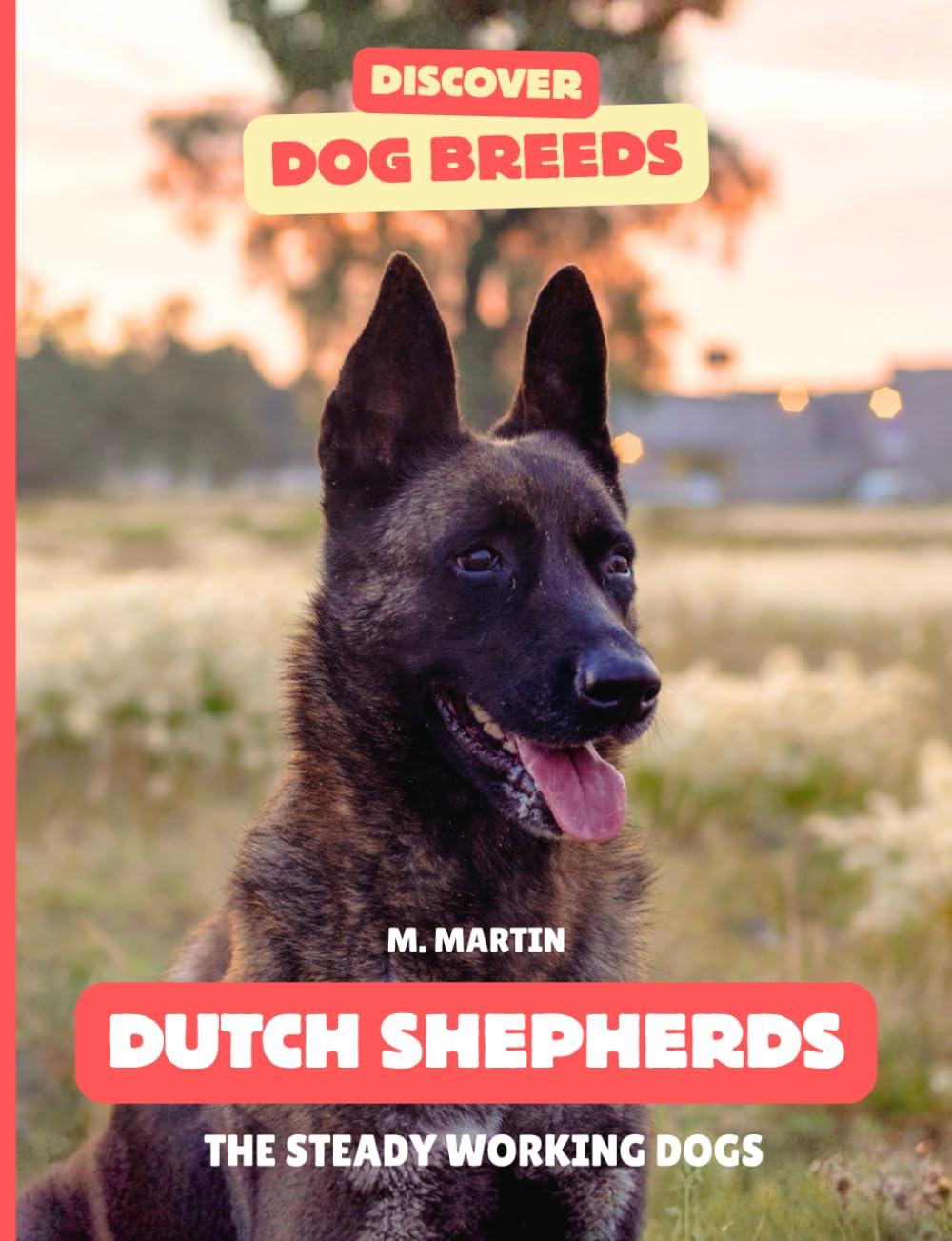 Dutch Shepherds: The Steady Working Dogs (Discover Dog Breeds)