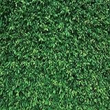 OUYIDA 10x10Ft Green Grass Wall Backdrop - Natural Leaves Lawn Party Photography Props for Birthday, Newborn Baby Shower, Wedding