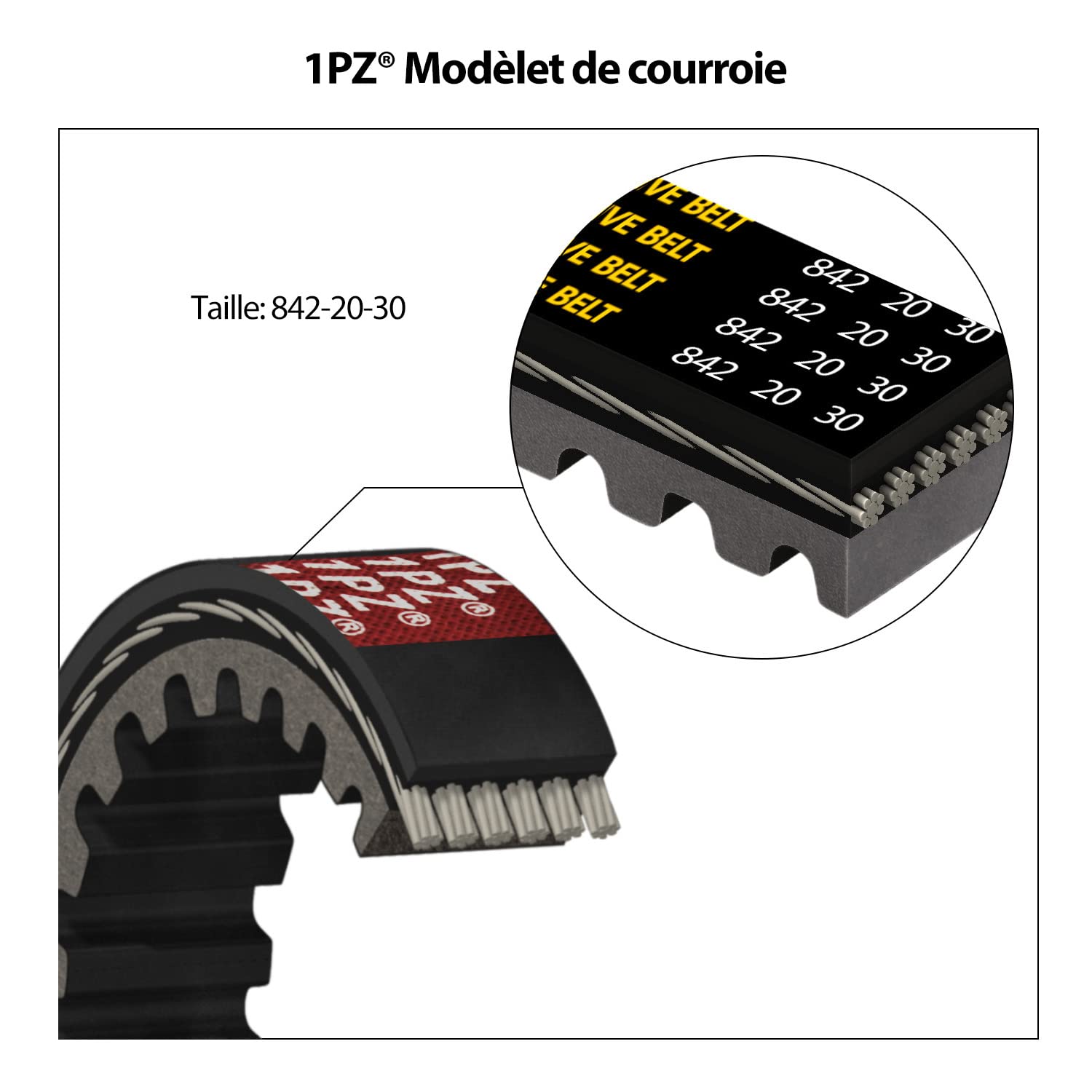 2 Cinghie CVT 842-20-30 Per Motori GY6 125cc-232cc (4 Tempi) - Adatte Per Scooter, ATV, Go Kart E Moto Cinesi (TaoTao, Roketa, Kymco...) - 3