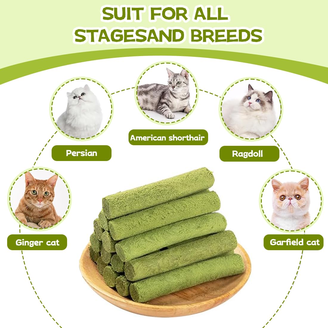 Herbe à Chat, 16 Pcs Herbe à Chat Séchée, Friandises pour Chats, Lyophilisé, Baton d'herbe à Chat, Snack pour Chat Lyophilisé pour Le Nettoyage des Dents et Élimination des Boules de Poils