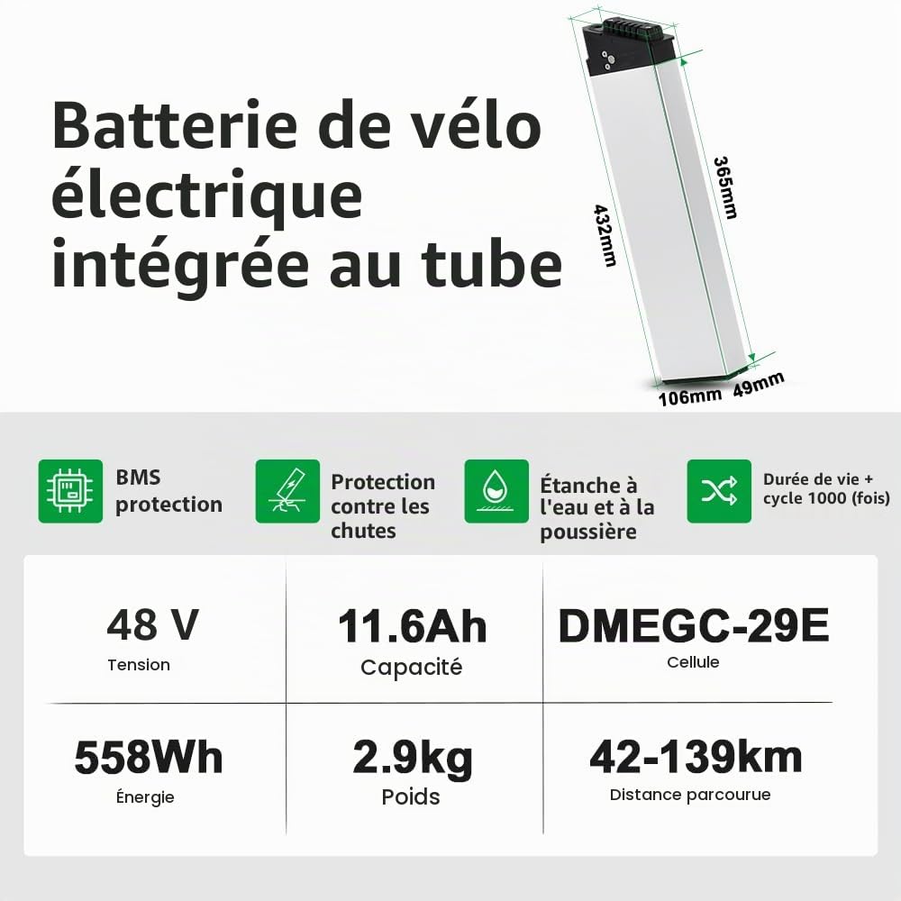 Batterie E-Bike 48V 11,6Ah pour Moteur 250W/350W/800W Batterie Intube | Compatible Fiido M1 Pro, BEZIOR XF200, Samebike LO26