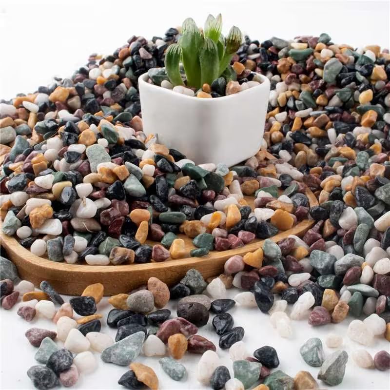 Grava de acuario para plantas, grava de tanque de peces de 7 libras para suculentas cactus y bonsái, rocas decorativas de río de 14 de pulgada para