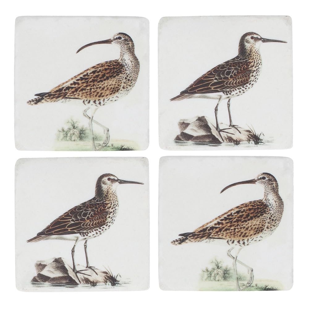 Gisela Graham Square Drinks Coasters, Set of 4, Coastal Birds Sandpiper, Resin, 10cm