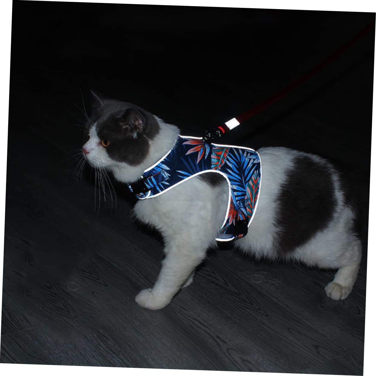 YARNOW 3 Juegos De Correa para Gato Chaleco Reflectante Chaleco De Malla para Gato Chaqueta para Caminar para Gatos Correa para Caminar para Perros Reflectante para El