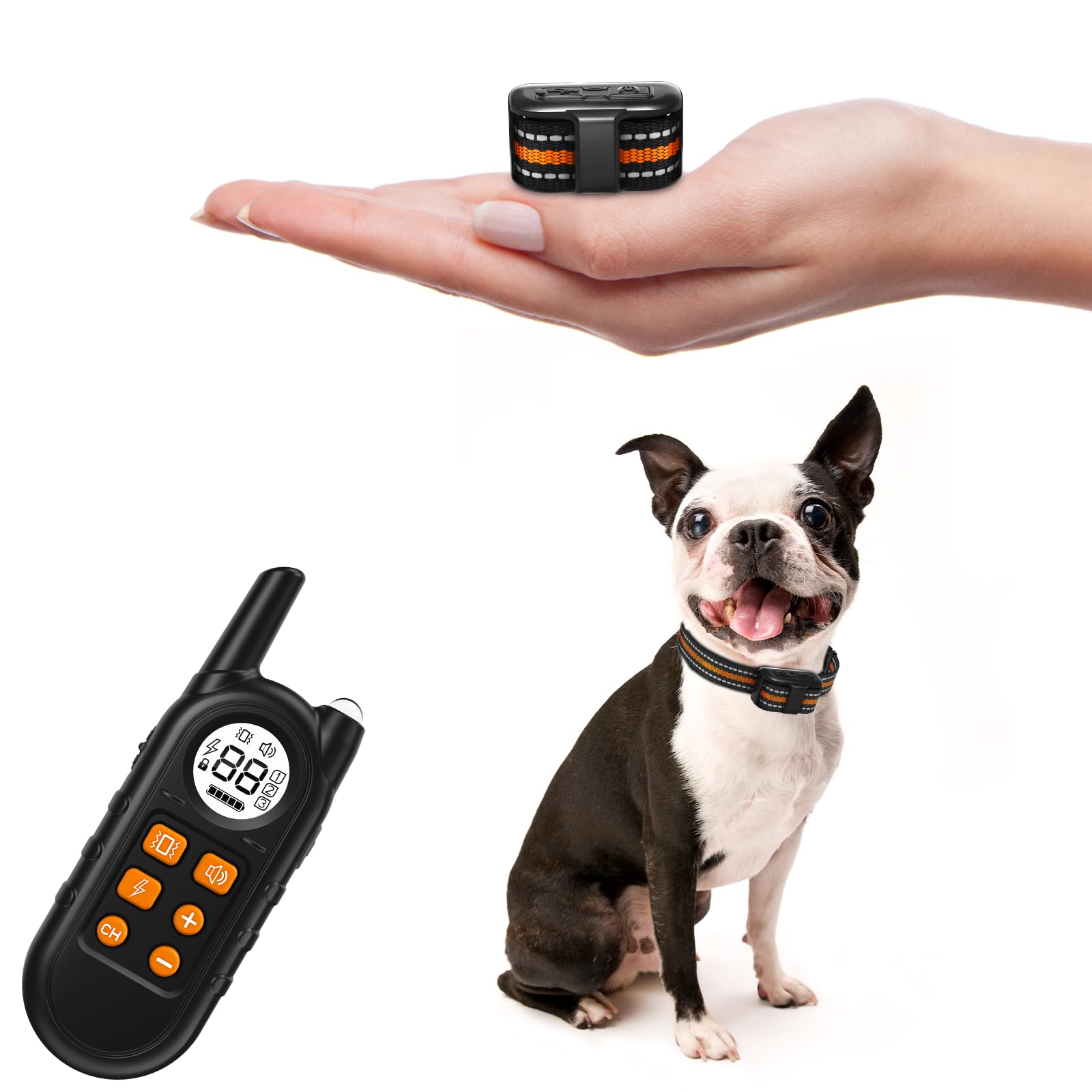 Dog Training Collar for Small Dogs: Effective Solutions