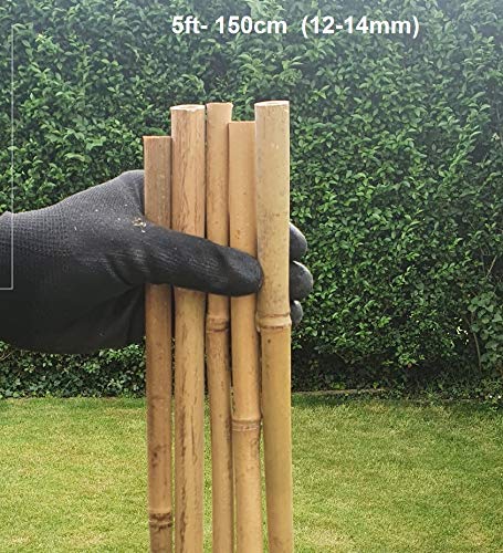 2ft-3ft-4ft-5ft Bamboo Canes/Stake/Pole Garden Plant Flower Support Sticks Outdoor/Indoor Plants Support Natural Strong (10, 5ft - 150cm (12-14mm))