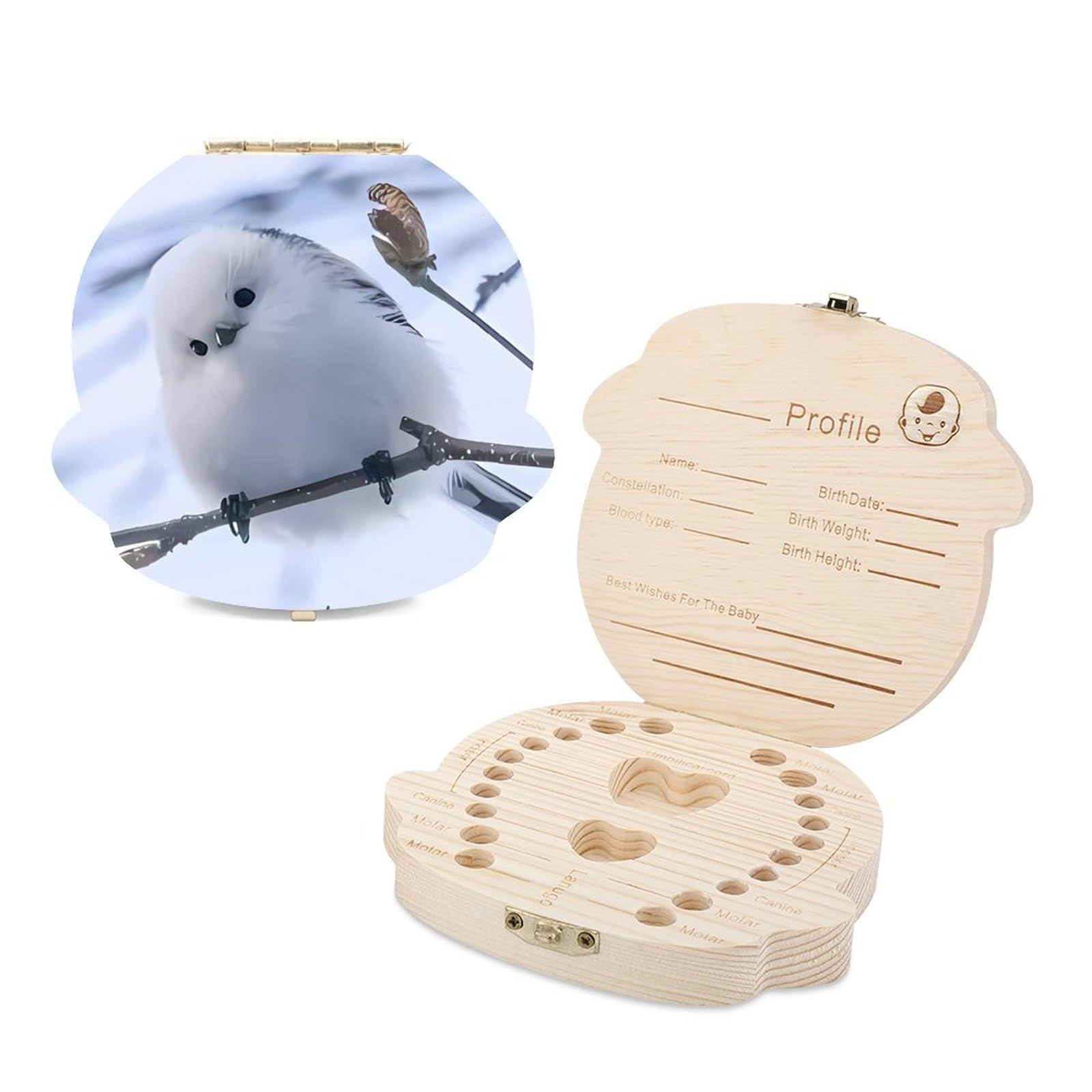 Amazon.co.jp: シマエナガ 鳥柄 乳歯ケース 子供 乳歯入れ 木製 歯