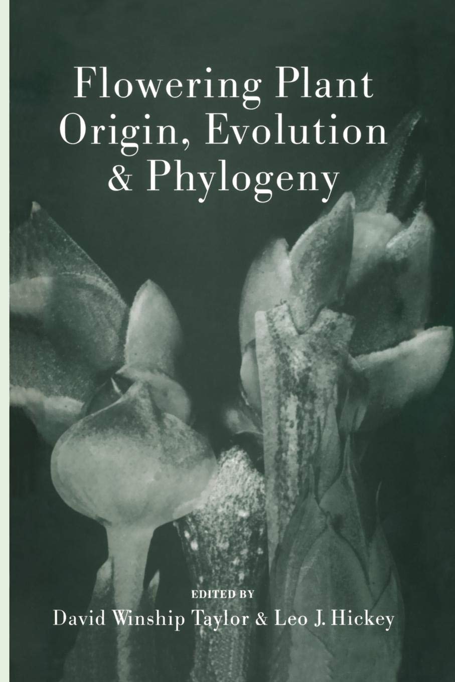 Flowering Plant Origin, Evolution & Phylogeny