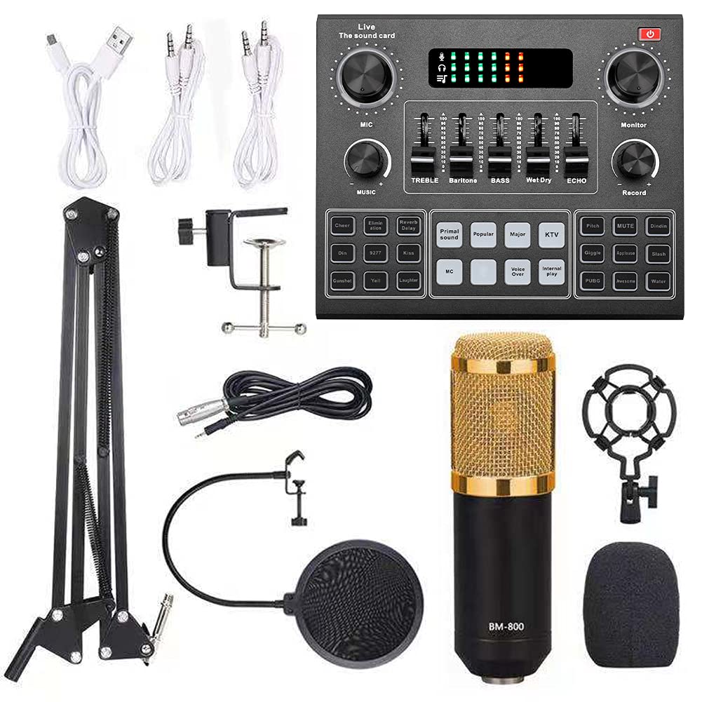 Live-Soundkarte, 12 Elektrische Sounds, 14 Effekte, Echtzeitüberwachung, BT-Begleitmikrofon-Set, Mikrofonunterstützung für Rundfunkaufnahmen und Gesang (Schwarz und Gold)