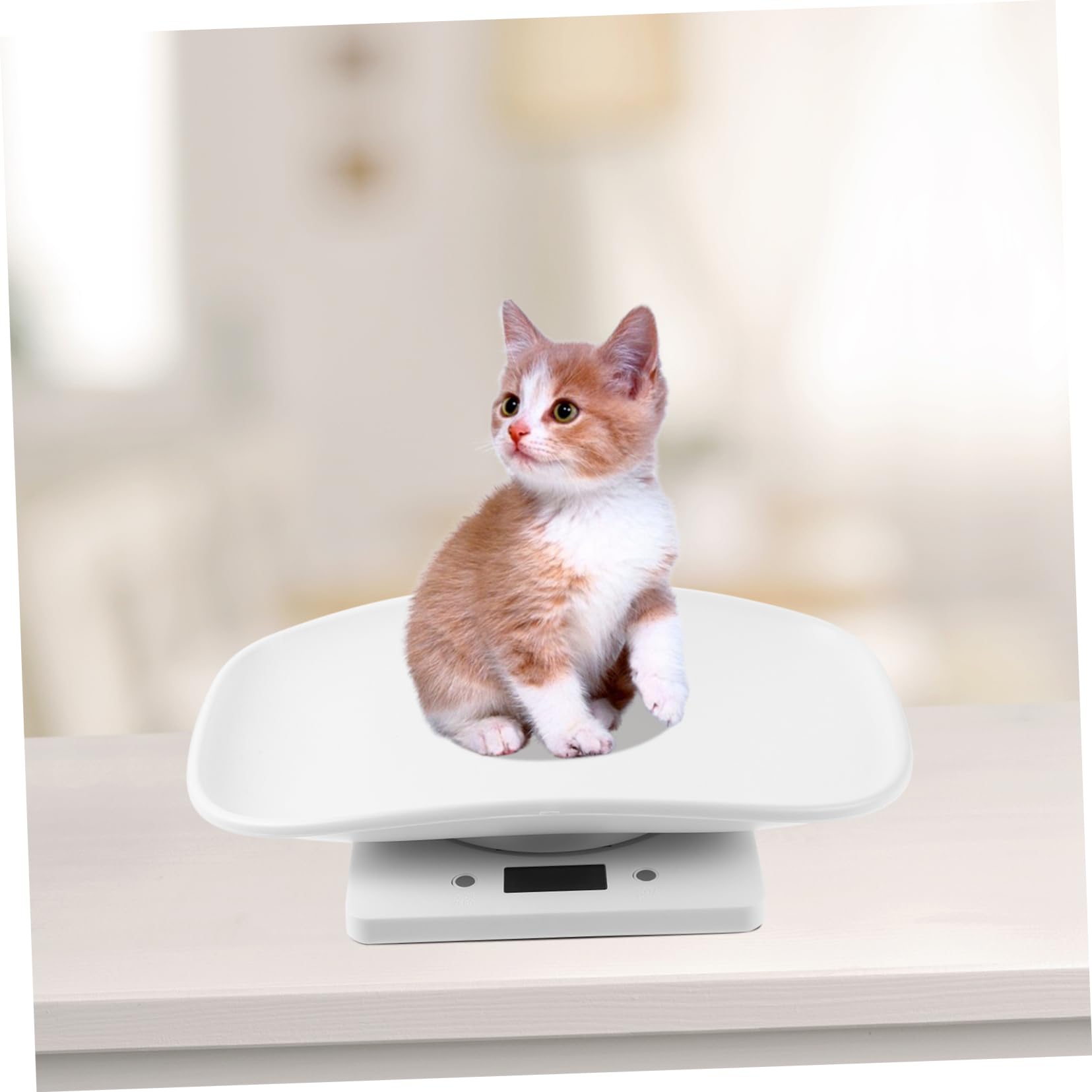 KOMBIUDA Bilancia Elettronica per Animali Domestici con Display LED Misurazione Precisa per e Gattini Design Pesare e Medicinali per Animali