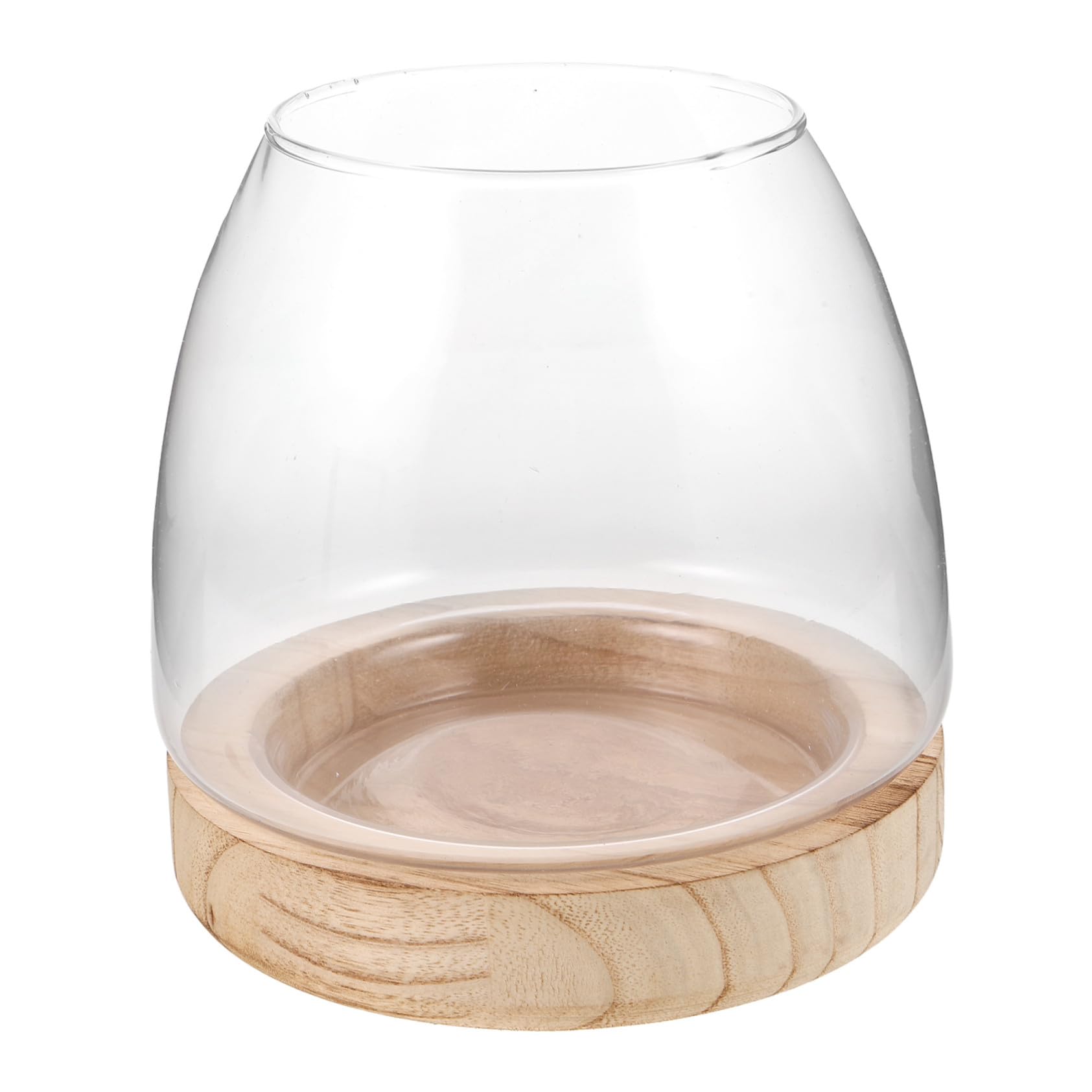 Vase en Verre Hydroponique avec Base en Bois, Terrarium pour Plantes