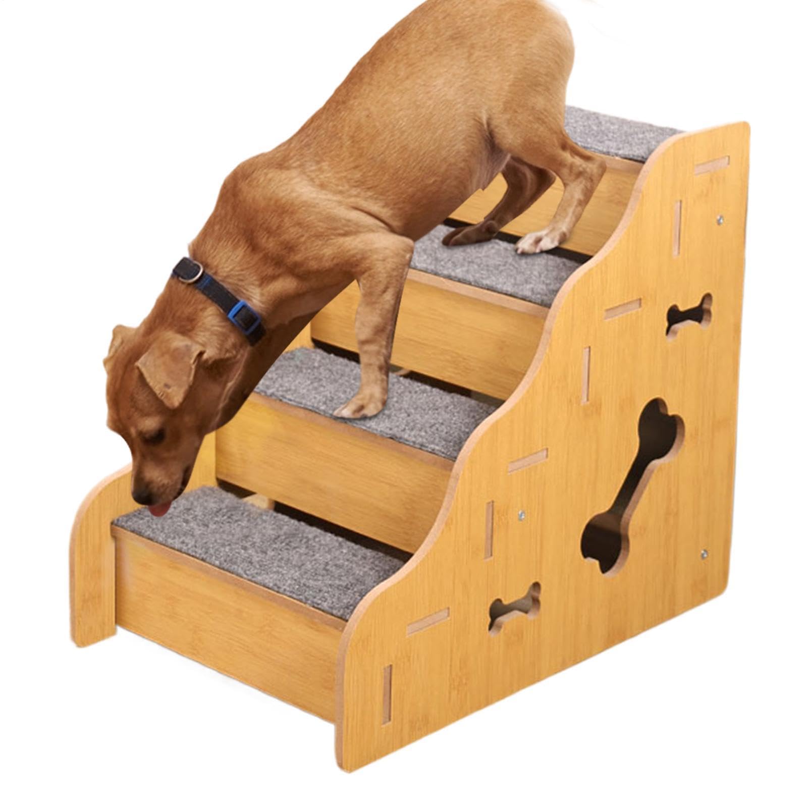 Scale per cani Rampe scale per cuccioli