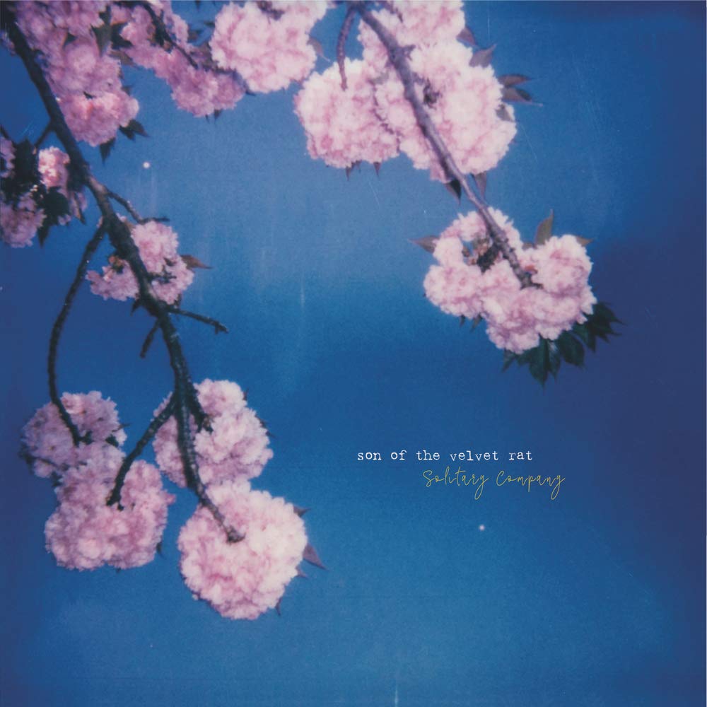 Solitary Company [VINYL]