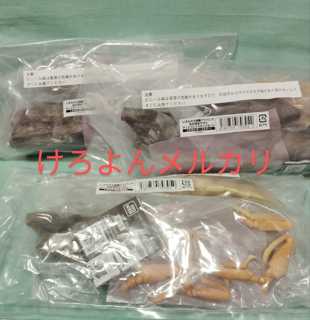 いきもの大図鑑アドバンス 水生昆虫タガメ ディスプレイスタンドセット