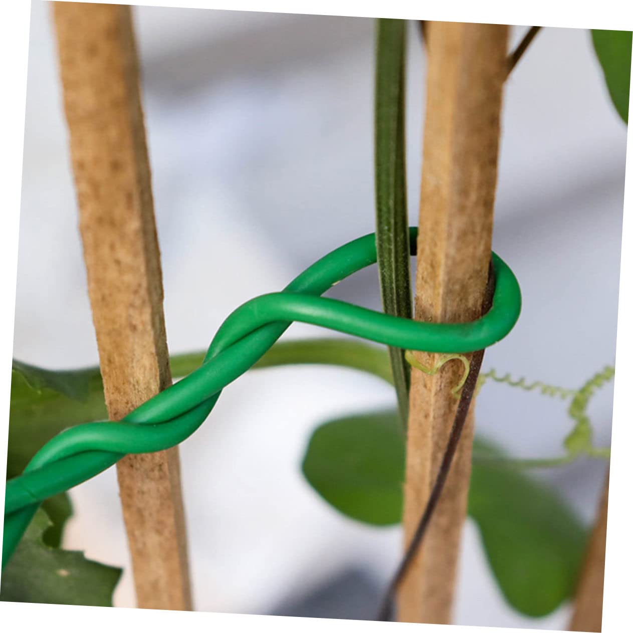 Abaodam Gartenbindeband Flexible Pflanzenbinder Für Tomaten Und Rosen Robuste Langlebige Drahtbinder Aus Verzinktem Unterstützung Für Blumen Und Gemüse Praktisches Zubehör Für Garten