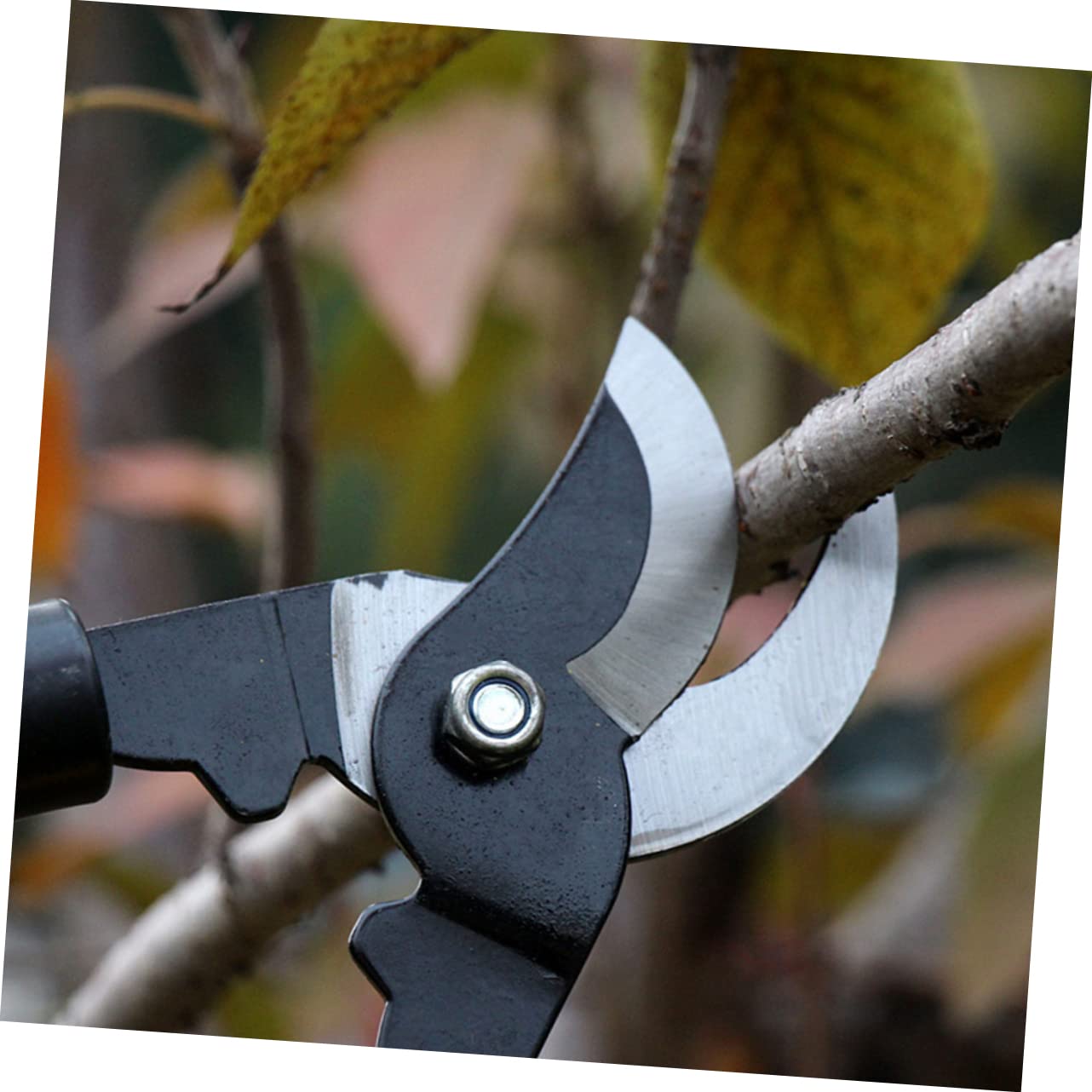 Sécateur de Jardin 1 Pièce en Acier au Manganèse Pvc