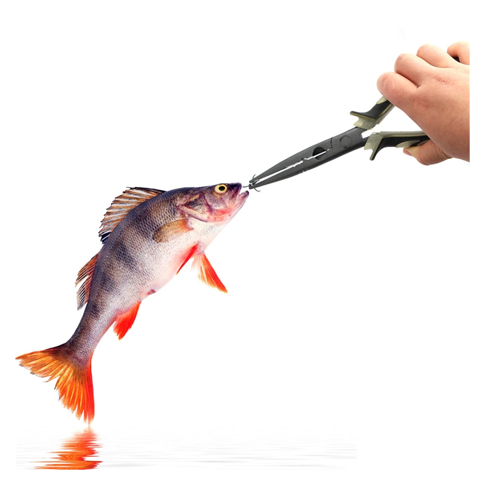 Alicates de pesca luminosos, pinzas de pesca, pinza de agarre con básculas, anzuelos de pesca, herramientas de pesca