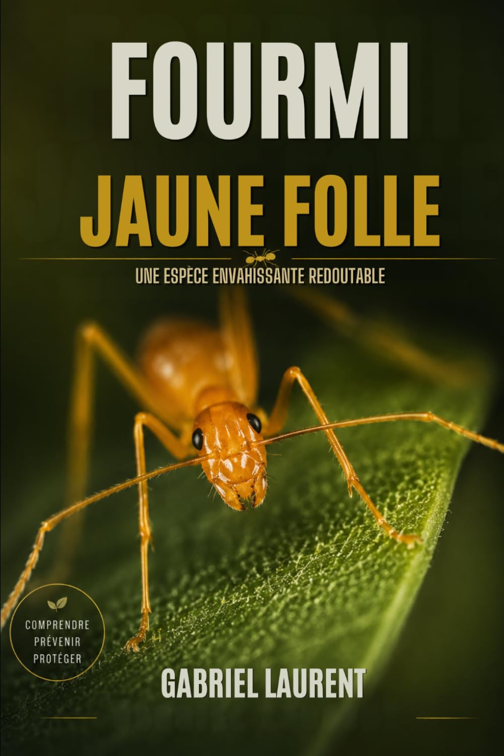 Fourmi jaune folle: Une espèce envahissante redoutable