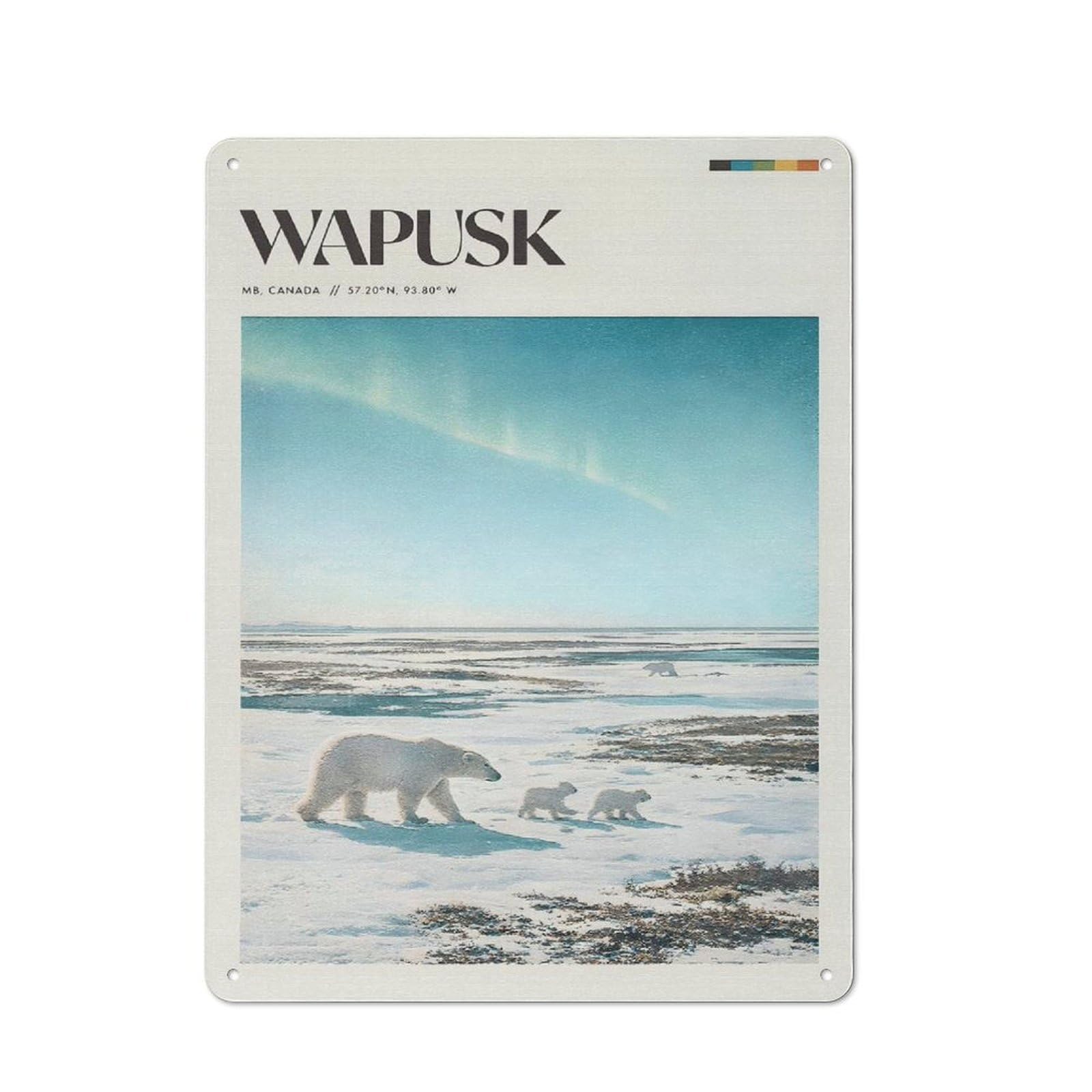 Junmoney Style-9 Creative Polar Bears Under Aurora Borealis Tin Sign 40X30cm, Study Room Decor For Workspace, Cafe, Shop Or Desk Area