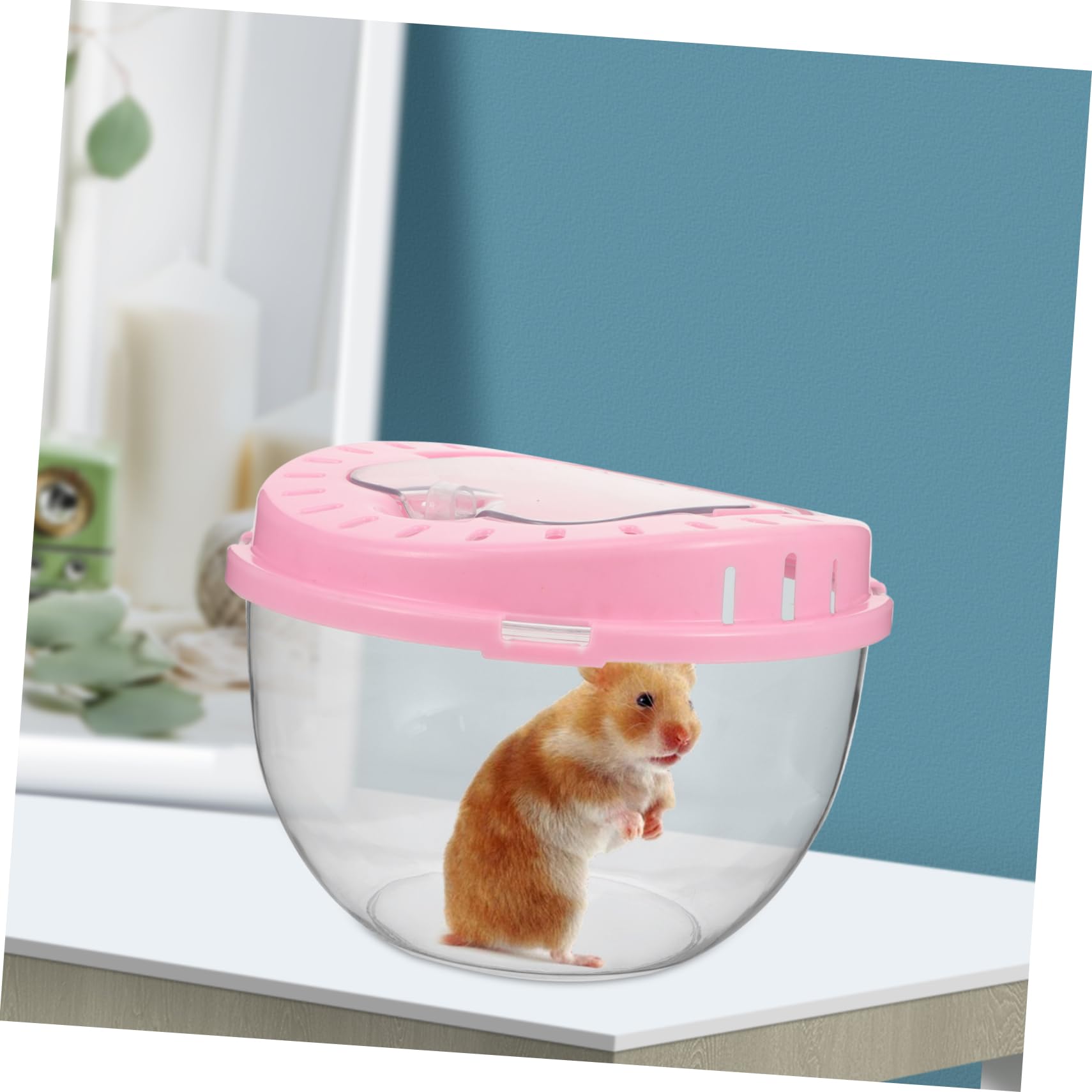 HANABASS Kleiner Transparenter Hamsterkäfig aus Kunststoff mit Belüftung Tragbare Haustier Transportbox für Hamster Meerschweinchen Kleintiere Outdoor Reisebox