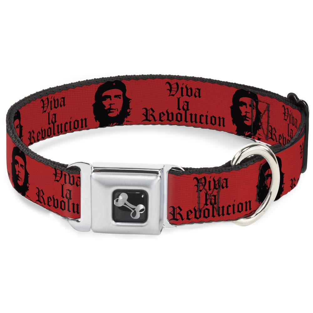 Collier de chien Buckle Down d'une finition supérieure avec fermoir os métallique