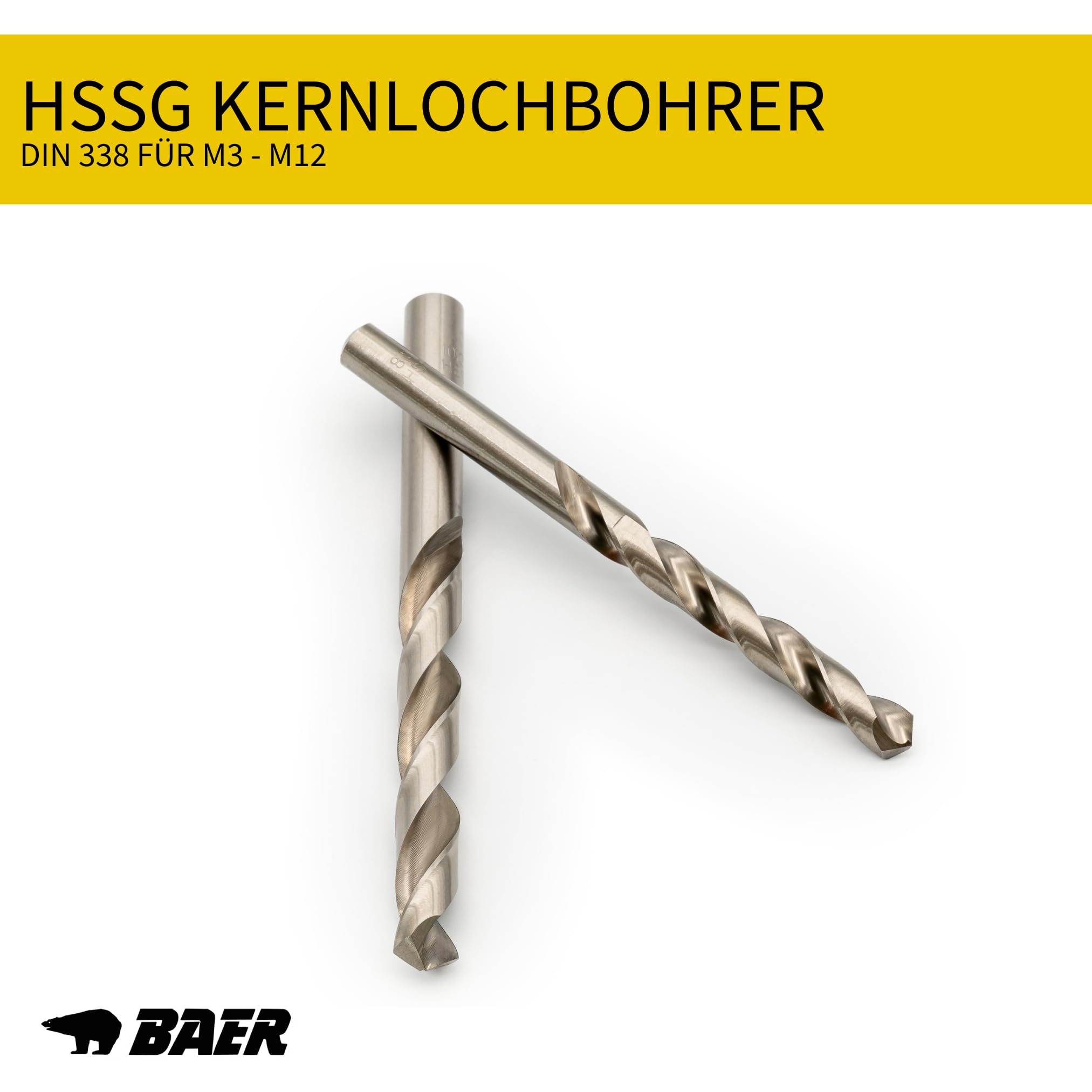 BAER Gewindeschneider Set 30-tlg. M3–M12 HSS-G | Handgewindebohrer + Schneideisen DIN 352/DIN 13 | Windeisen & Schneideisenhalter in Metallkassette | Profi Gewindeschneidsatz Innen- & Außengewinde