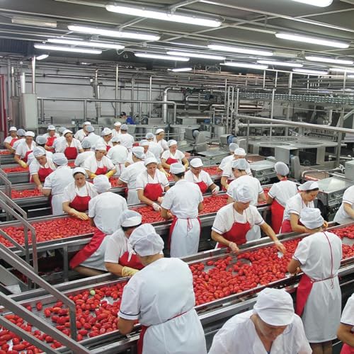 La San Marzano 6 Pack, La San Marzano, Italian Whole Peeled Tomatoes In Puree With Basil thumb #4