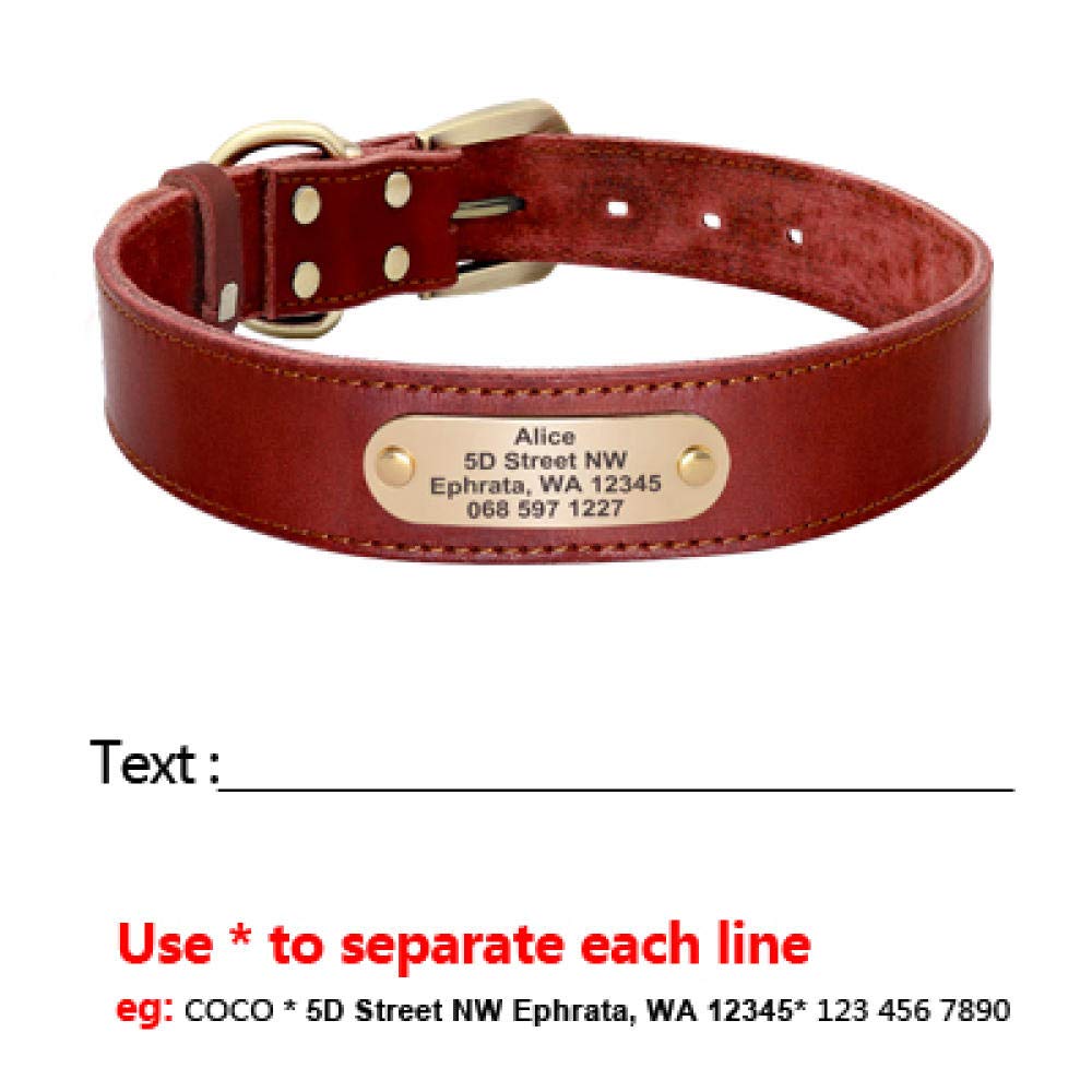 Juego de Correa de Cuero para Perro Personalizado, Correa Personalizada para Collar de Mascota, Placa de identificación grabada para Perros medianos Grandes-Brown_Set_L